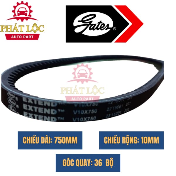 Dây curoa FM30/V10*750 dùng cho xe Su 5 tạ, Su cóc ( Gates xịn chính hãng) - ảnh 3