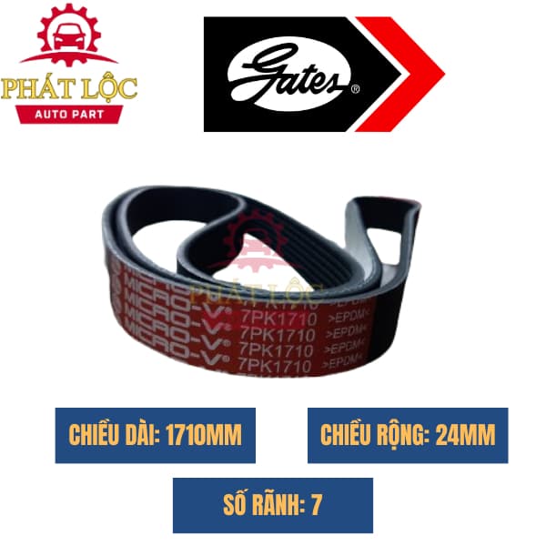 Dây curoa tổng 7PK1710 cho động cơ xe tải Kia Hyundai ( Gates xịn chính hãng) - ảnh 3