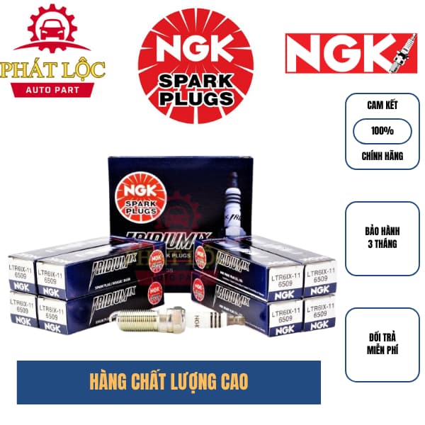 Bộ  Bugi 4 cái NGK phù hợp với  xe Ford Fiesta,  Escape, Mondeo , Chevorlet ( NGK chính hãng) - ảnh 2