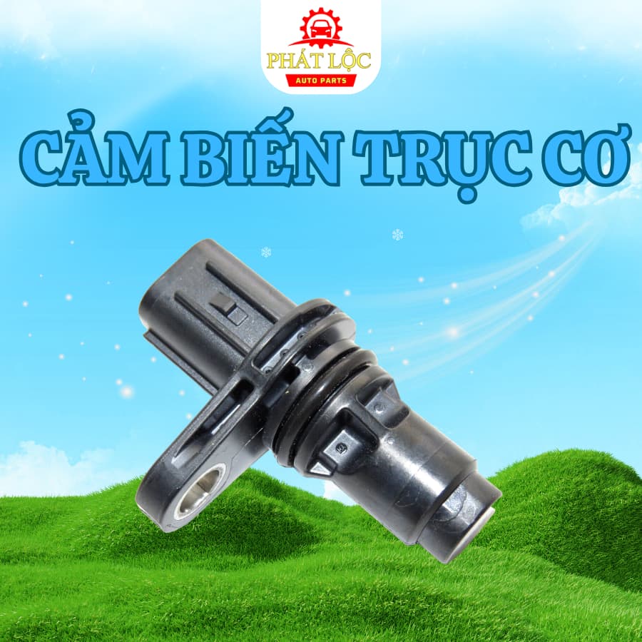 Cảm biến vị trí trục cơ Vios 2014-2024 ( Toyota chính hãng) - ảnh 3
