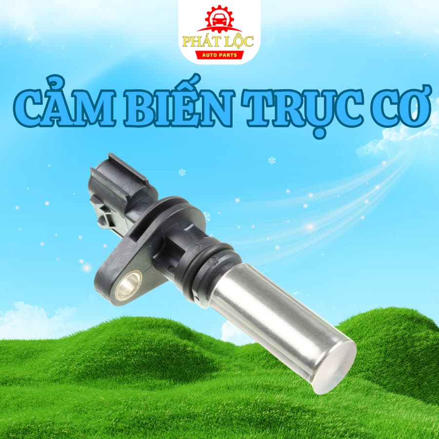 Cảm biến vị trí trục cơ Vios 2014-2024 ( Toyota chính hãng) - ảnh 2